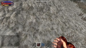 It's meat! Not a glove! Argh! (a clipping problem they plan to fix in a near update)