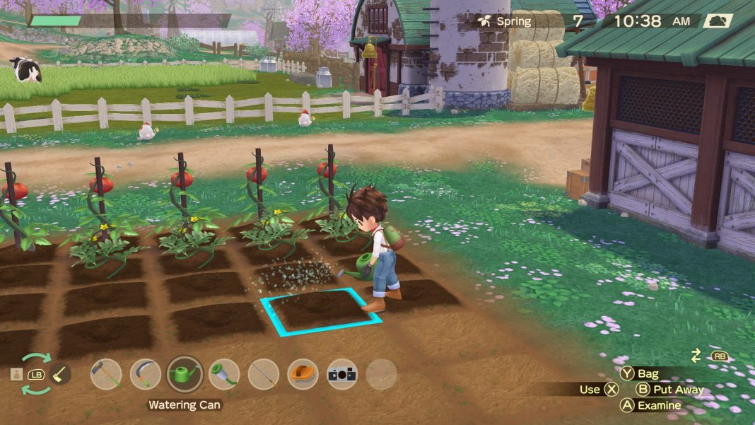 Greenhouse interior in Story of Seasons