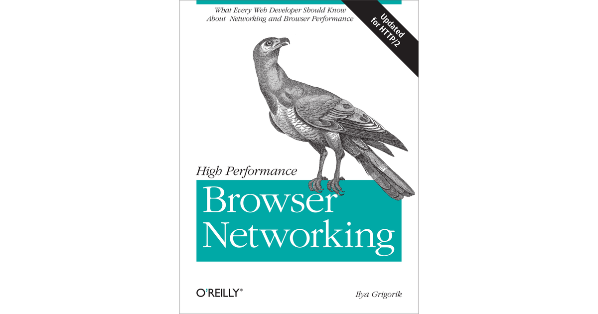 High Performance Browser Networking