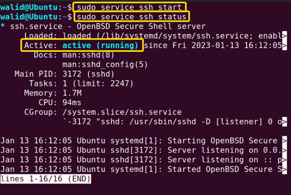SSH terminal session showing server connection and service status