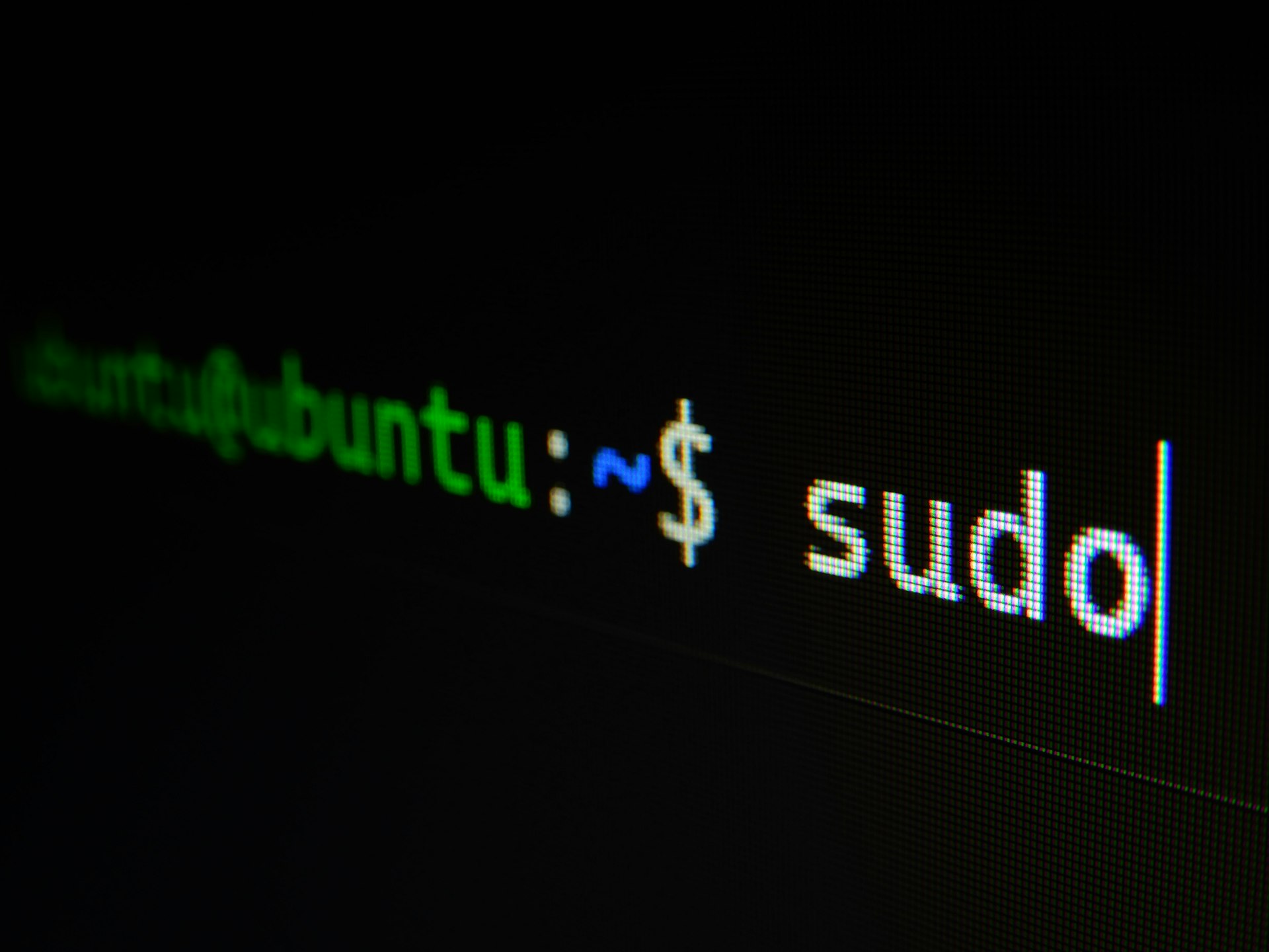 Linux terminal command line used for WordPress server migration via SSH