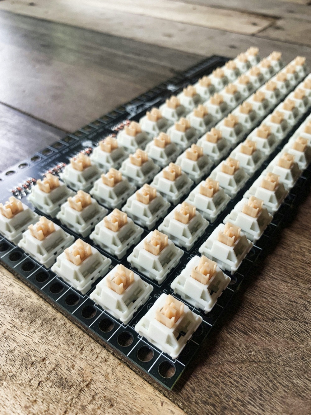 Mechanical keyboard switches arranged on a board showing switch variety: linear, tactile, and clicky