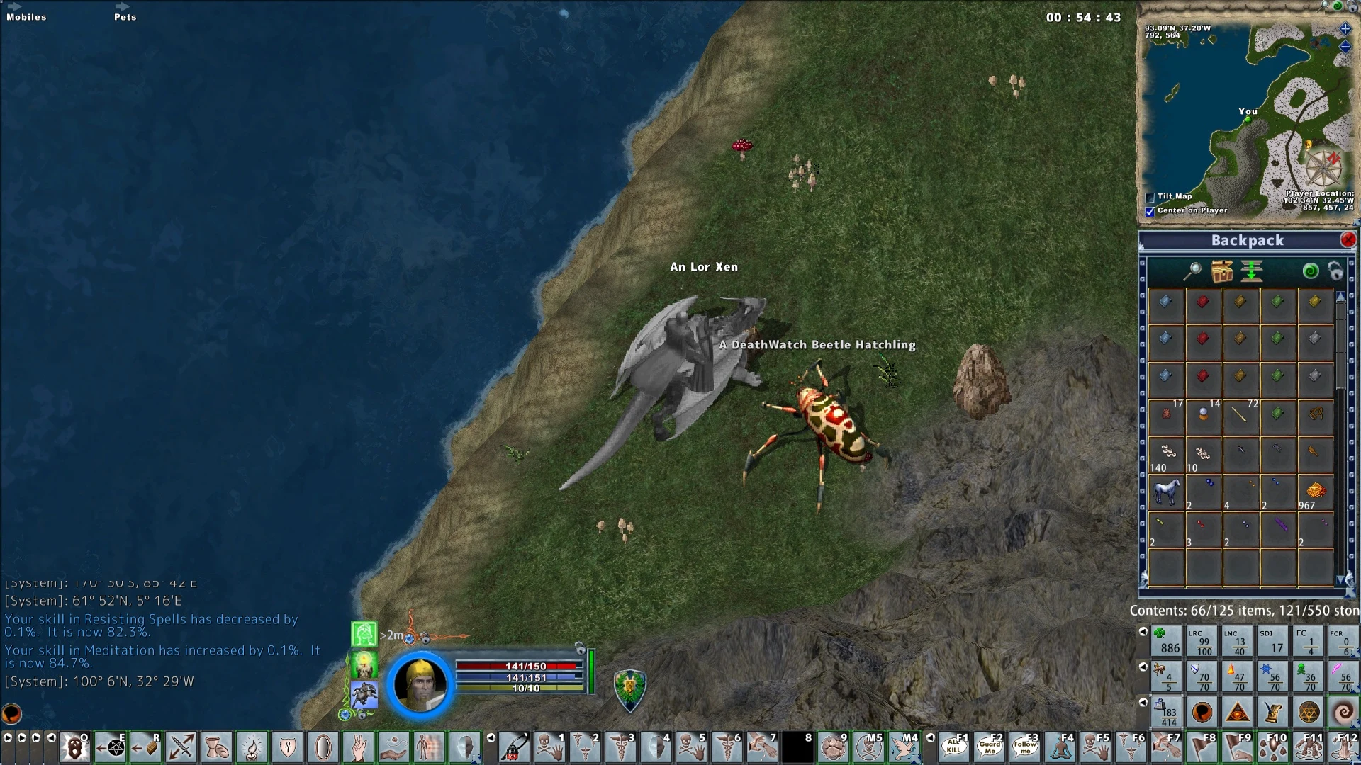Ultima Online Enhanced Client gameplay showing a coastal creature encounter and active interface