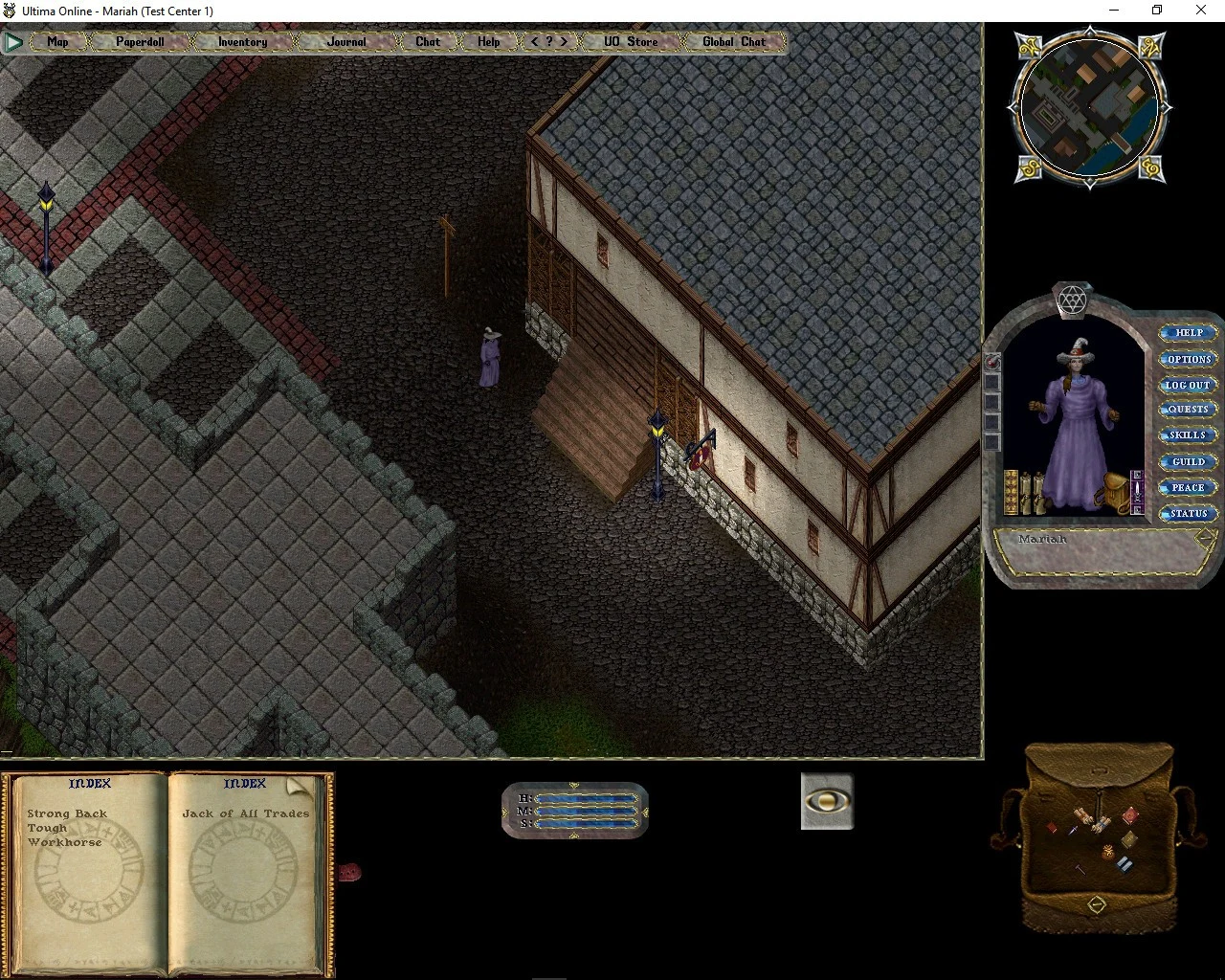 Ultima Online Classic Client showing its original isometric world and desktop interface